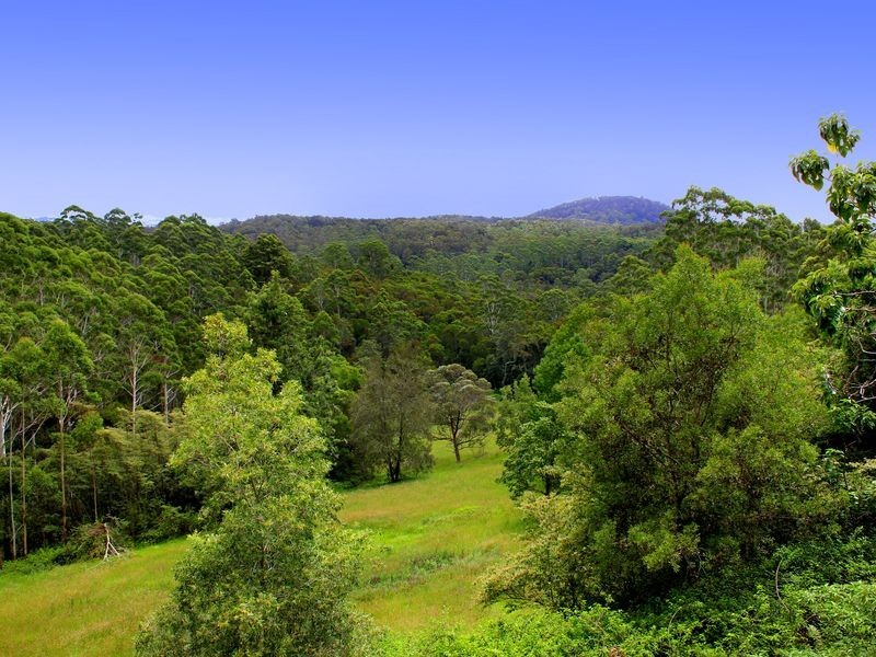 Batar Creek NSW 2439