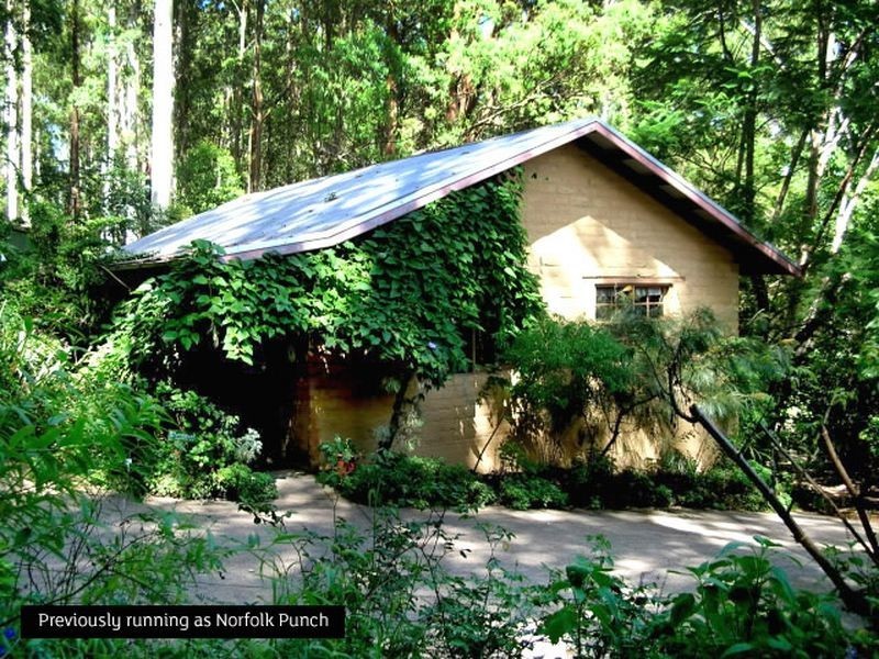 Batar Creek NSW 2439