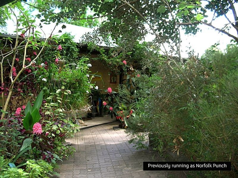 Batar Creek NSW 2439