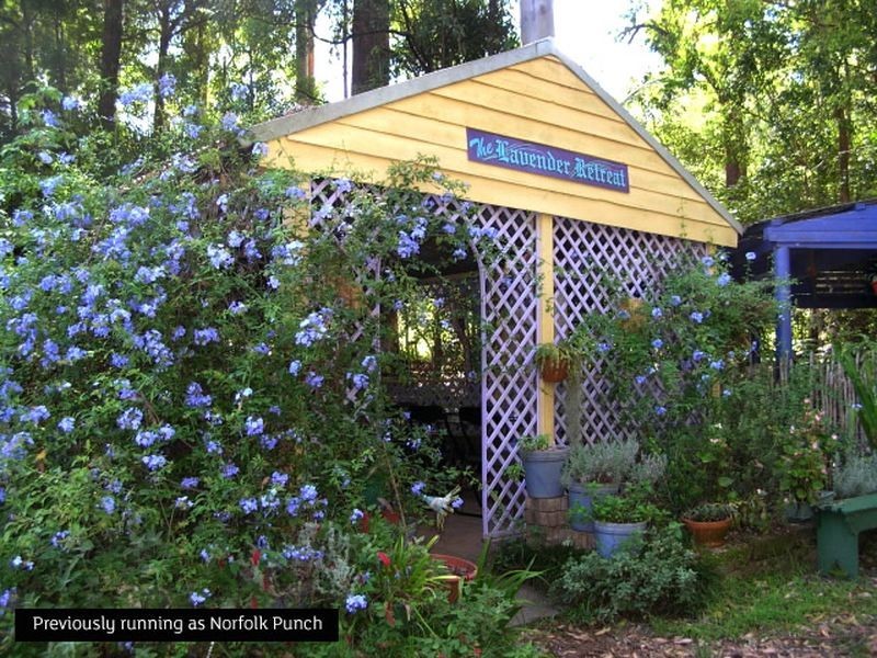 Batar Creek NSW 2439