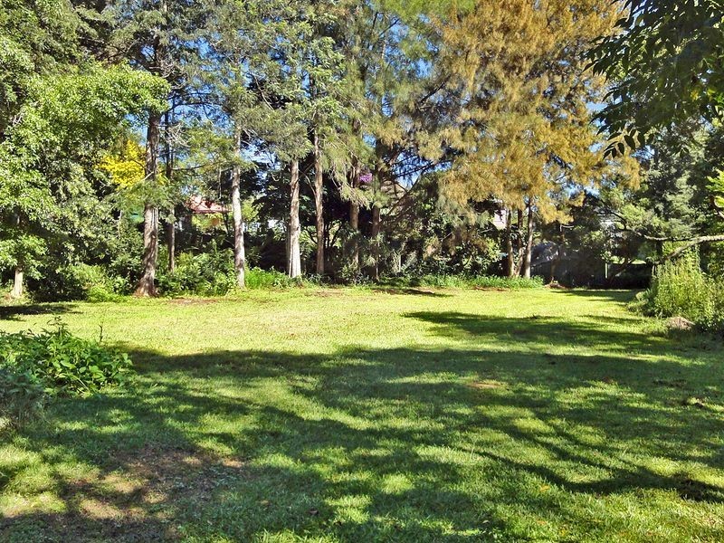 Kendall NSW 2439