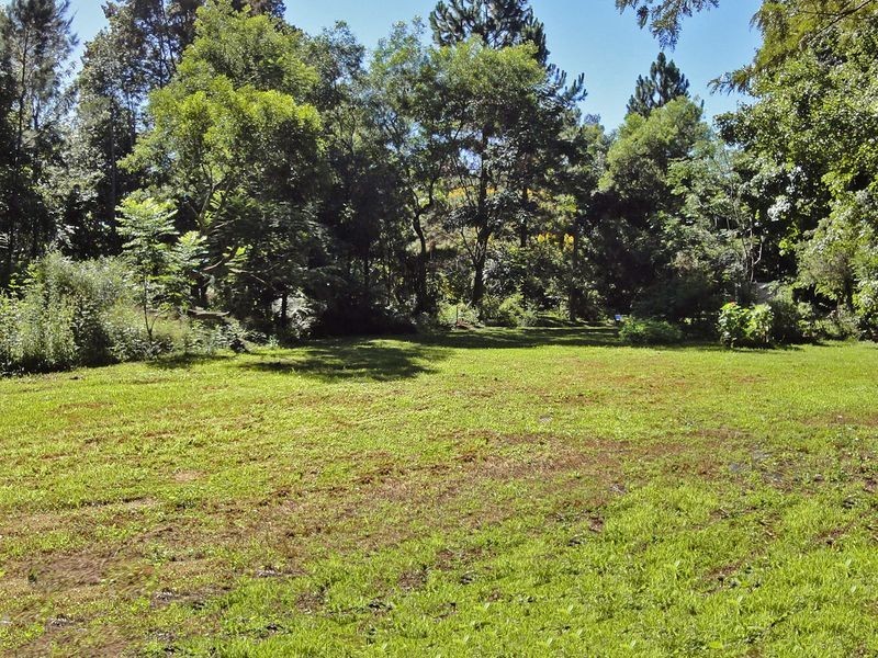 Kendall NSW 2439
