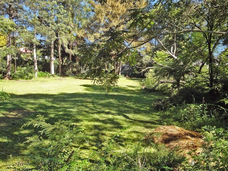 Kendall NSW 2439