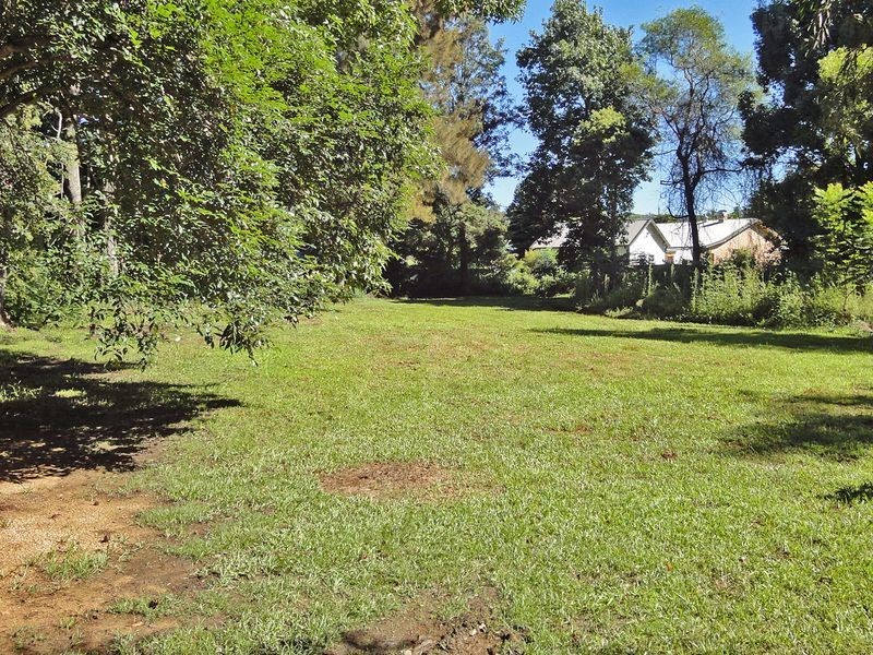 Kendall NSW 2439