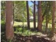 Kendall NSW 2439