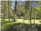 Kendall NSW 2439
