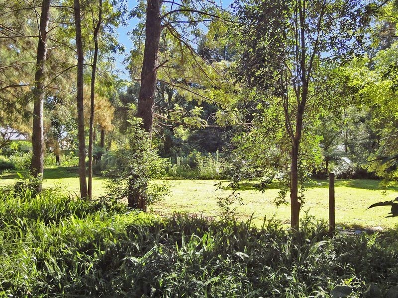 Kendall NSW 2439