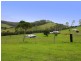 Comboyne NSW 2429