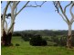 Comboyne NSW 2429