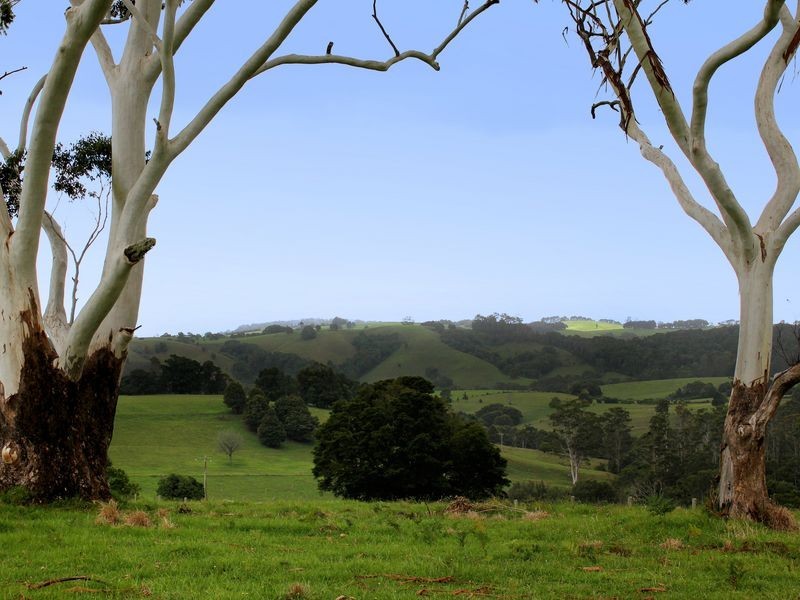 Comboyne NSW 2429