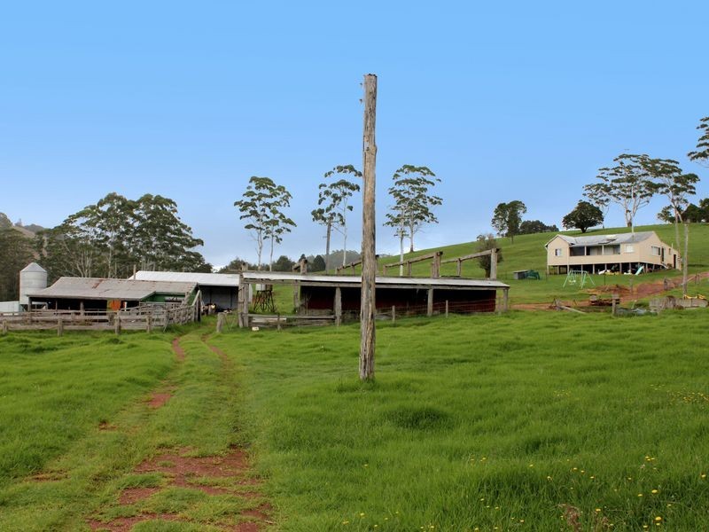 Comboyne NSW 2429