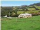 Comboyne NSW 2429