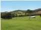 Comboyne NSW 2429