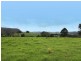 Comboyne NSW 2429