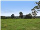 Comboyne NSW 2429