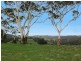 Comboyne NSW 2429