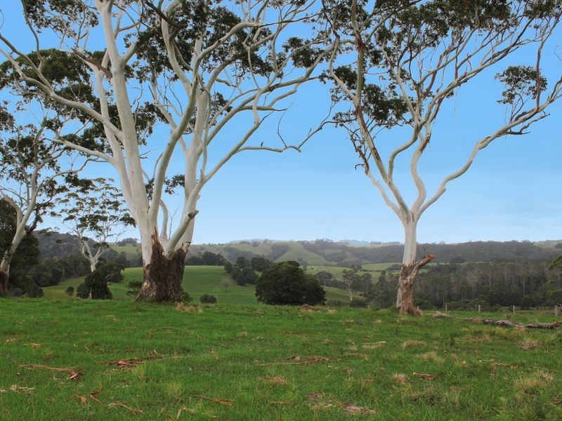 Comboyne NSW 2429