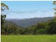Comboyne NSW 2429