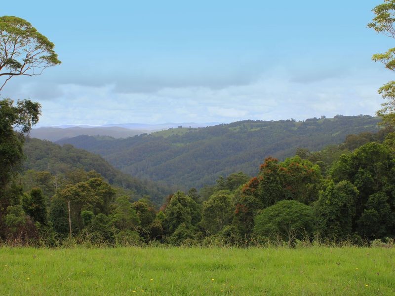 Comboyne NSW 2429