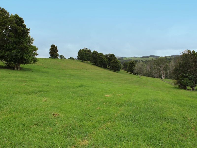 Comboyne NSW 2429