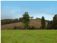 Comboyne NSW 2429