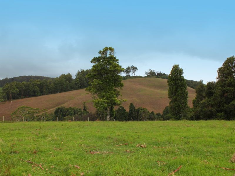 Comboyne NSW 2429