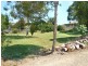 Kendall NSW 2439