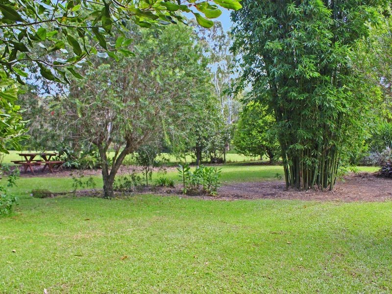 Kendall NSW 2439