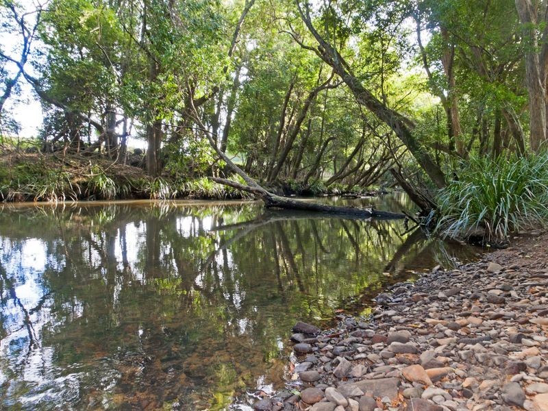 13 Loganvale Place, Logans Crossing NSW 2439