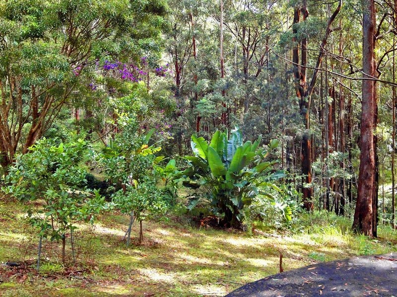 23 Caringal Drive, Middle Brother NSW 2443