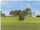 Wauchope NSW 2446