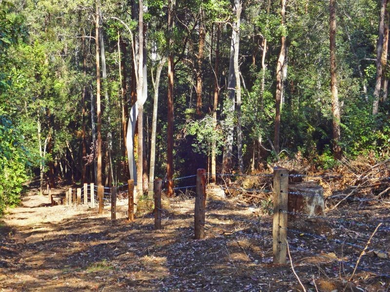 Lorne NSW 2439
