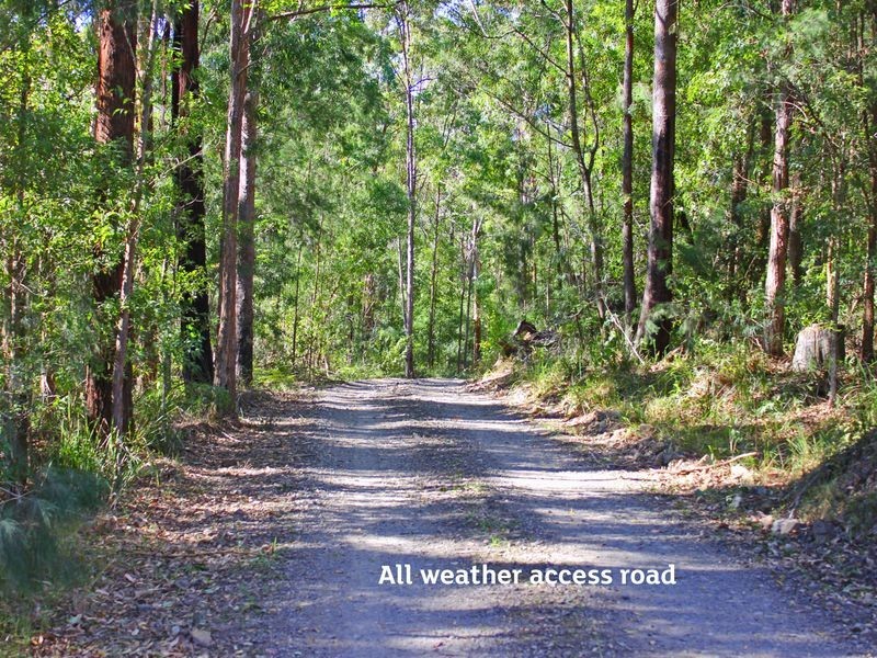 Lorne NSW 2439