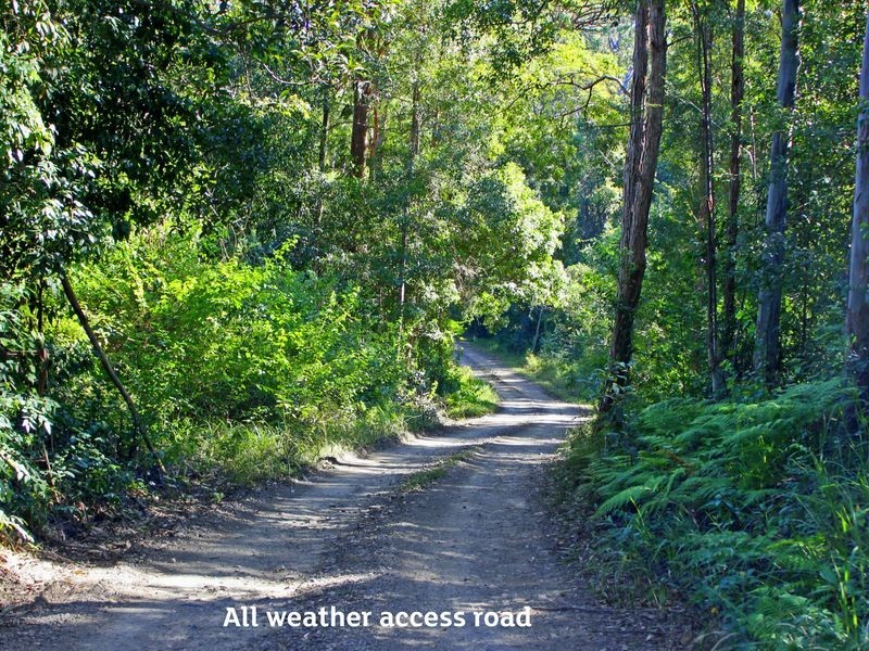 Lorne NSW 2439
