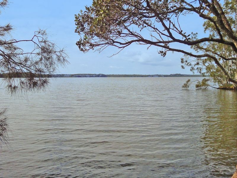 Middle Brother NSW 2443