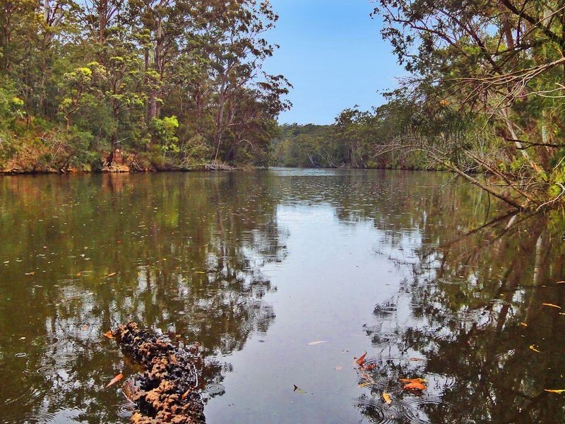 Middle Brother NSW 2443