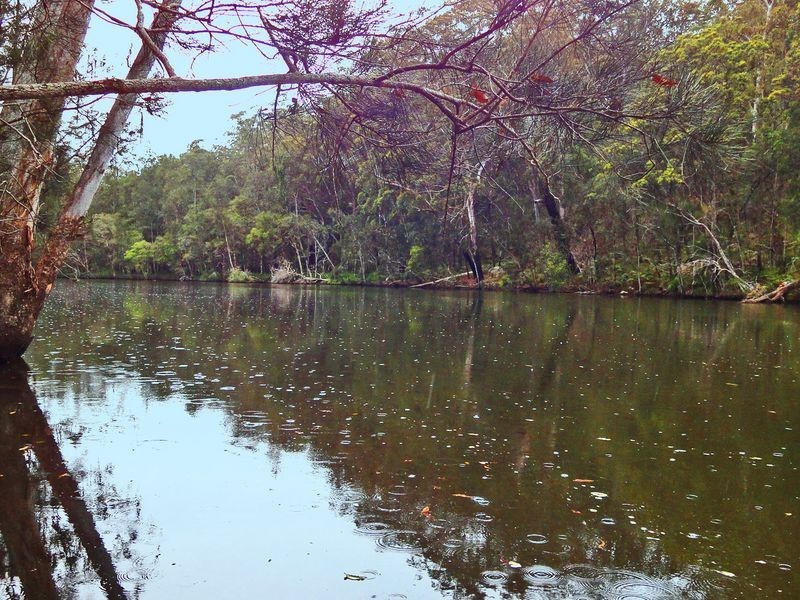 Middle Brother NSW 2443