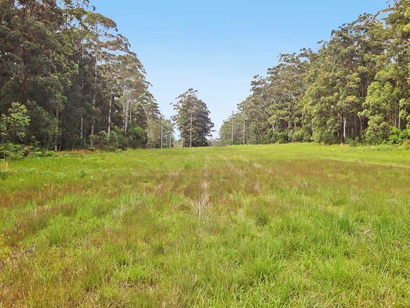 Middle Brother NSW 2443