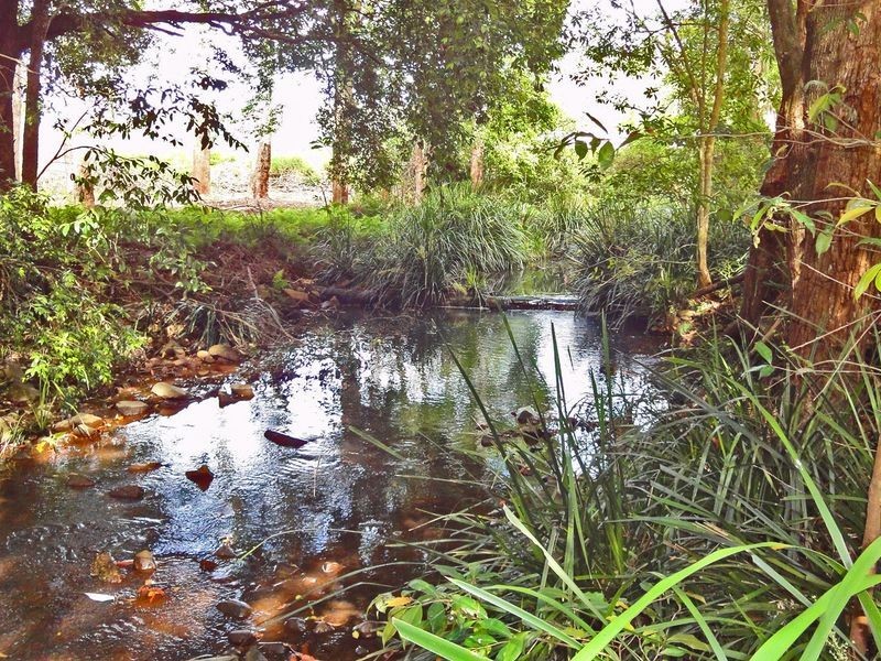 Middle Brother NSW 2443