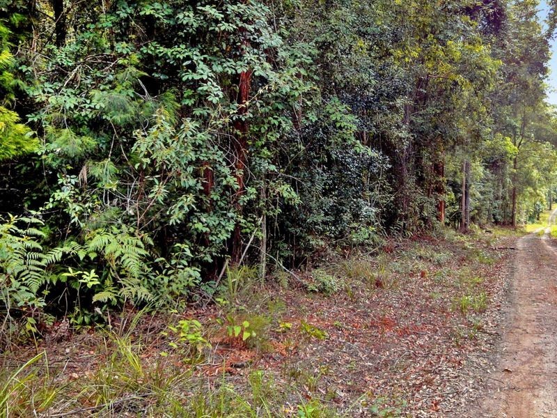 Herons Creek NSW 2443