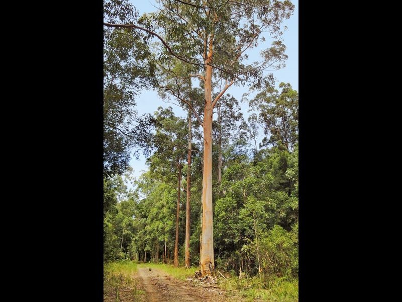 Herons Creek NSW 2443