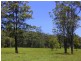 Riverside Park Estate, Logans Crossing NSW 2439