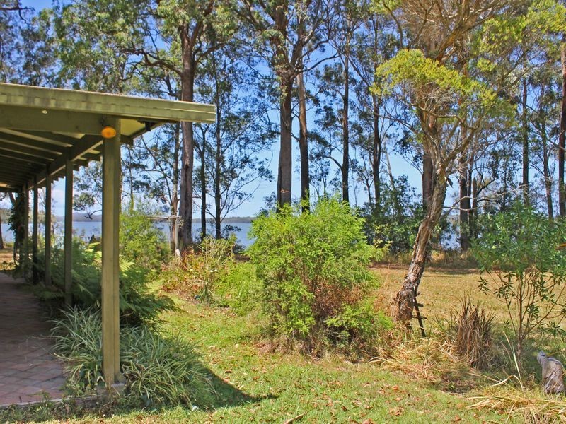 Middle Brother NSW 2443