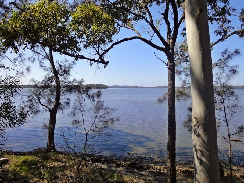 Middle Brother NSW 2443