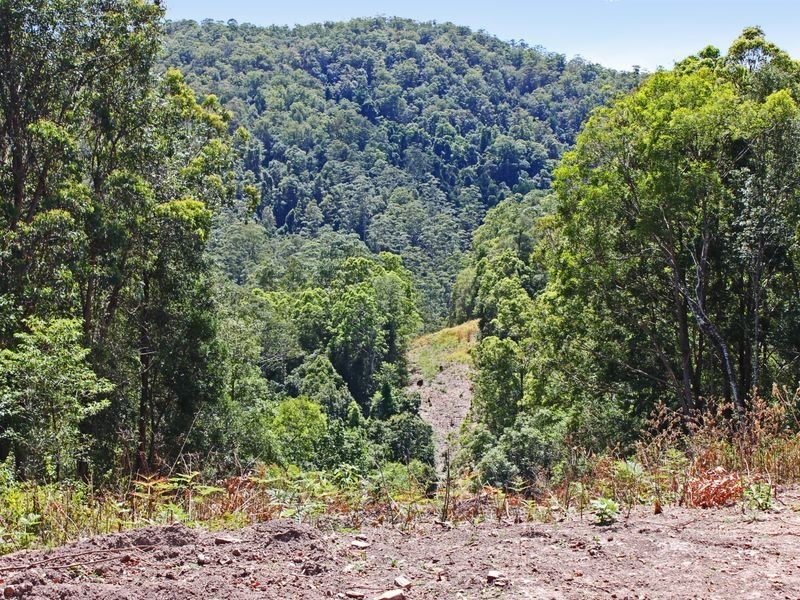 Pappinbarra NSW 2446