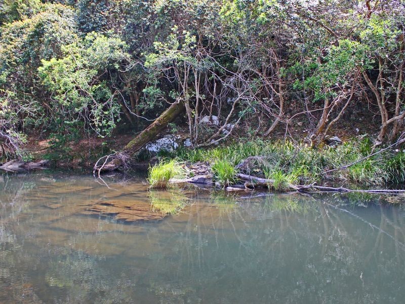 Pappinbarra NSW 2446