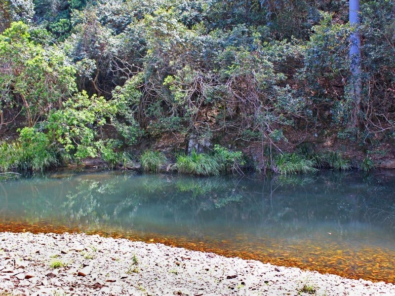 Pappinbarra NSW 2446