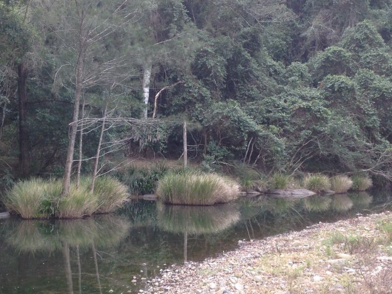 Pappinbarra NSW 2446