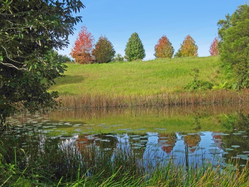 Hannam Vale NSW 2443