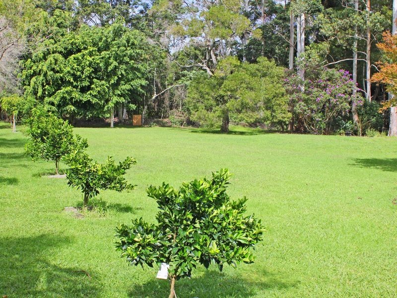 Kew NSW 2439